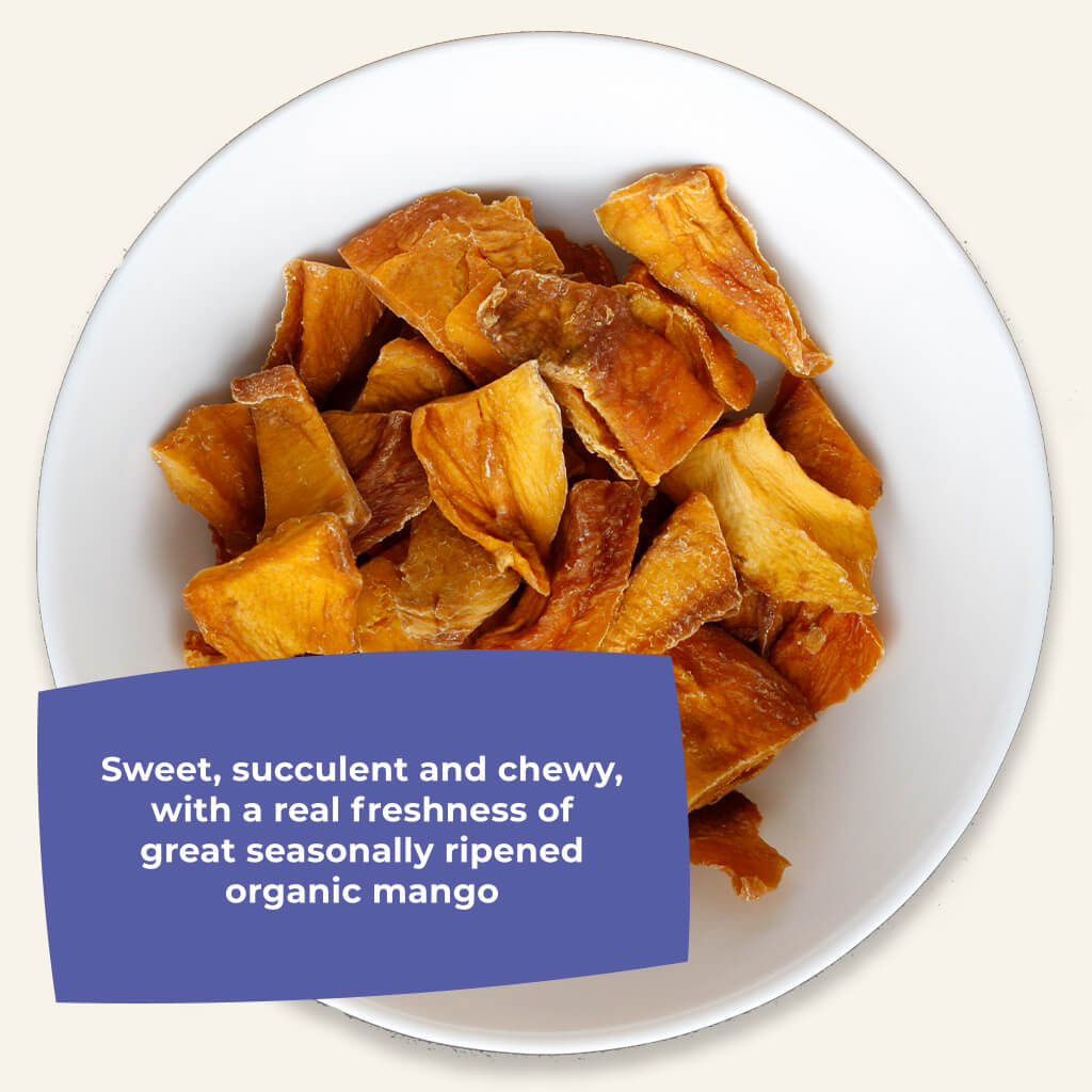 Tasting Bundle - Organic Dried Mango Slices-2